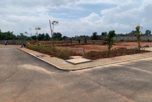 WhatsApp Image 2025-06-17 at 11.06.22 AM (1)