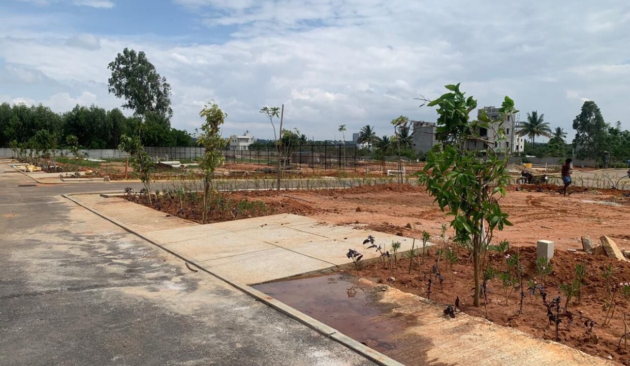 WhatsApp Image 2025-06-17 at 11.06.22 AM