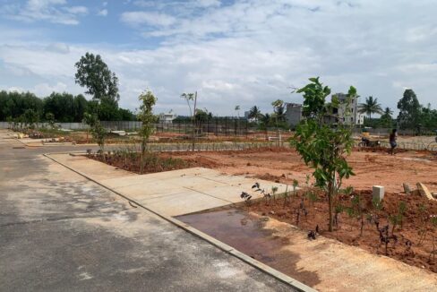 WhatsApp Image 2025-06-17 at 11.06.22 AM