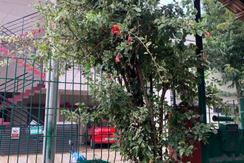 WhatsApp Image 2025-06-18 at 11.43.30 AM