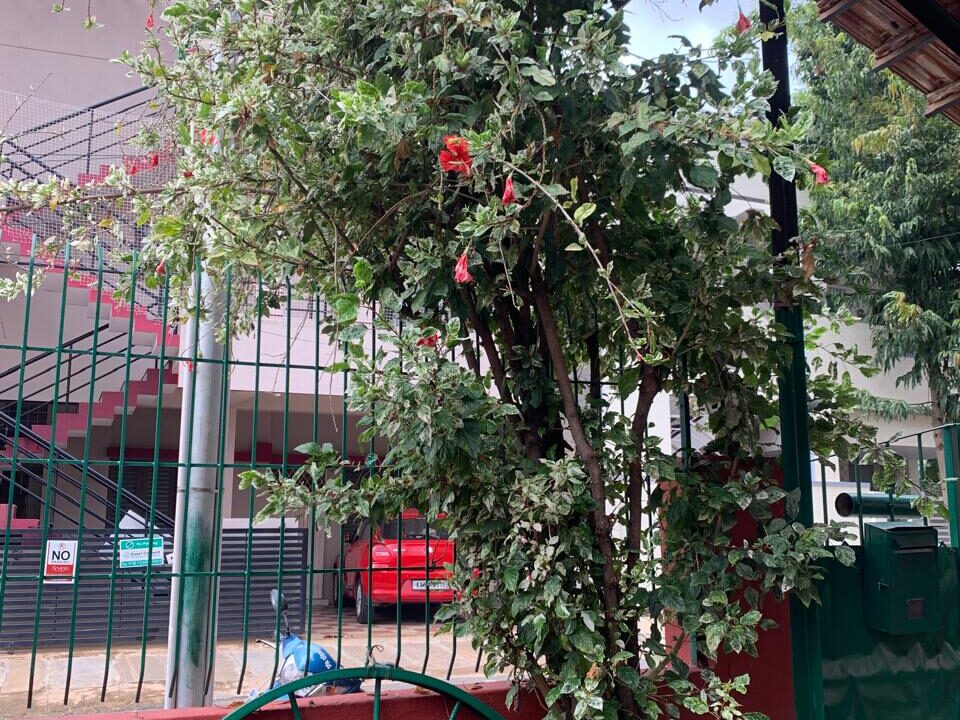 WhatsApp Image 2025-06-18 at 11.43.30 AM