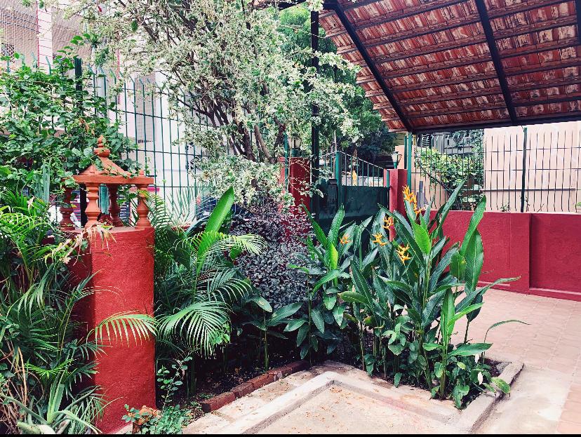 WhatsApp Image 2025-06-18 at 11.43.32 AM