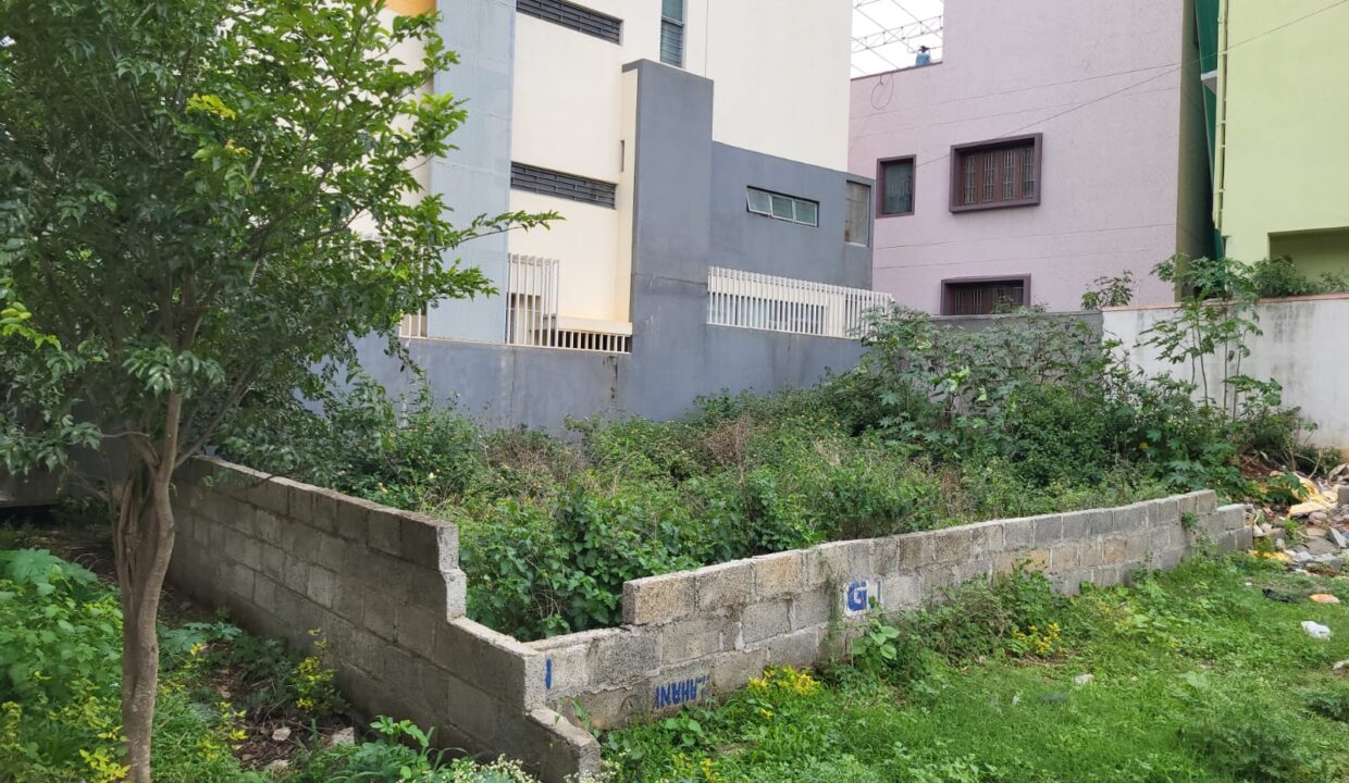 WhatsApp Image 2025-06-18 at 11.54.33 AM