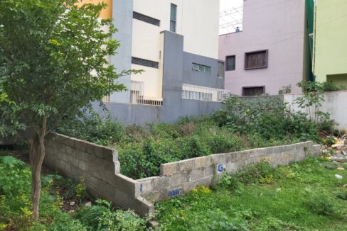 WhatsApp Image 2025-06-18 at 11.54.33 AM