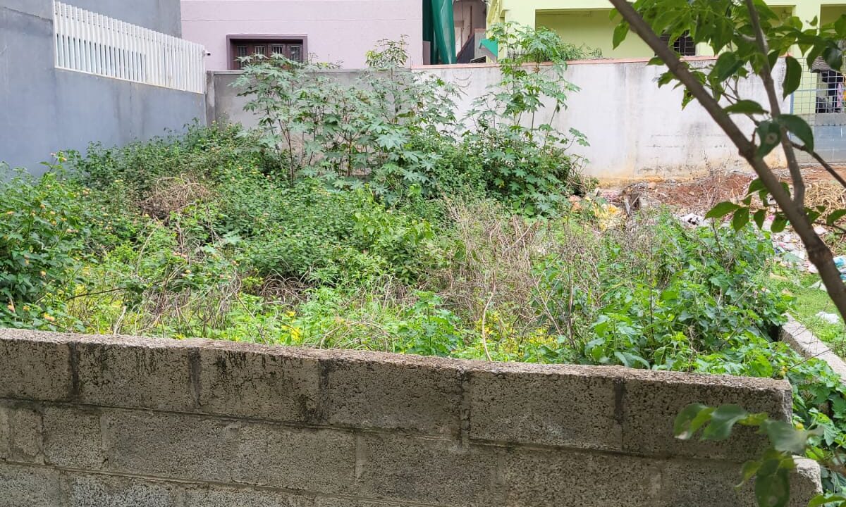 WhatsApp Image 2025-06-18 at 11.54.34 AM