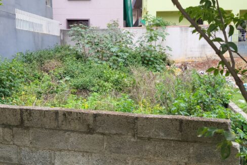 WhatsApp Image 2025-06-18 at 11.54.34 AM