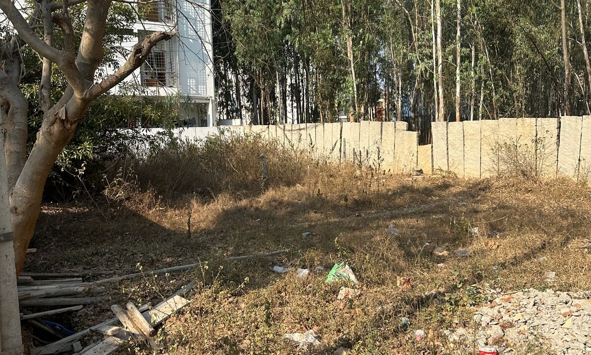 WhatsApp Image 2025-06-18 at 2.00.44 PM