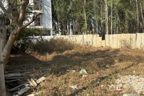 WhatsApp Image 2025-06-18 at 2.00.44 PM