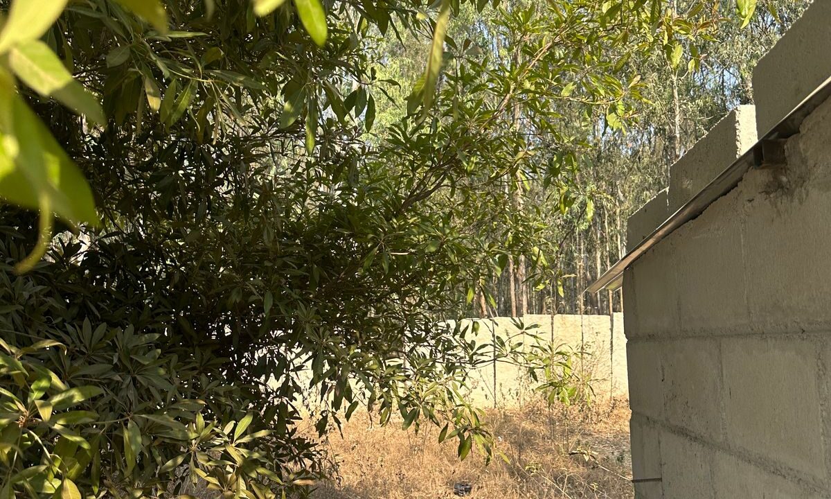 WhatsApp Image 2025-06-18 at 2.00.45 PM