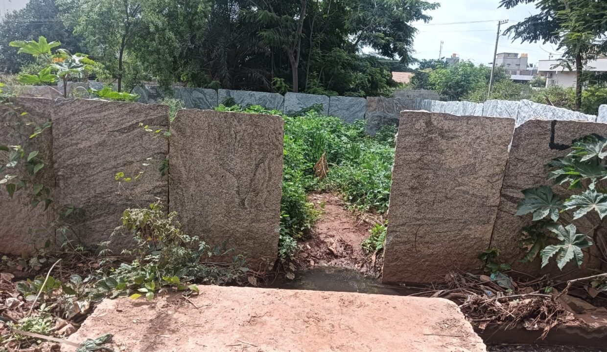 WhatsApp Image 2025-06-18 at 2.02.19 PM