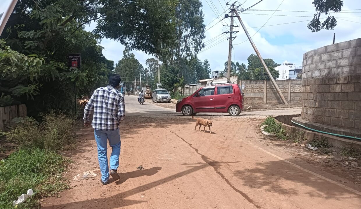 WhatsApp Image 2025-06-18 at 2.02.20 PM