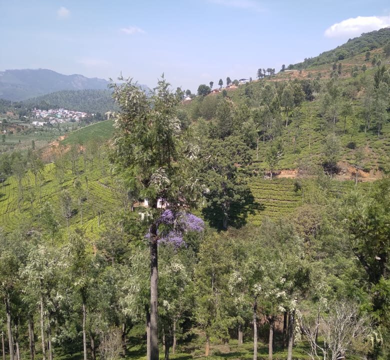 WhatsApp Image 2025-06-22 at 4.04.58 PM (1)