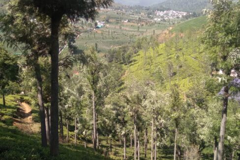 WhatsApp Image 2025-06-22 at 4.04.58 PM (2)