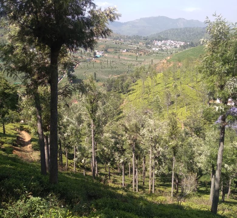 WhatsApp Image 2025-06-22 at 4.04.58 PM (2)