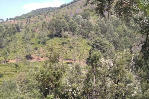 WhatsApp Image 2025-06-22 at 4.04.58 PM