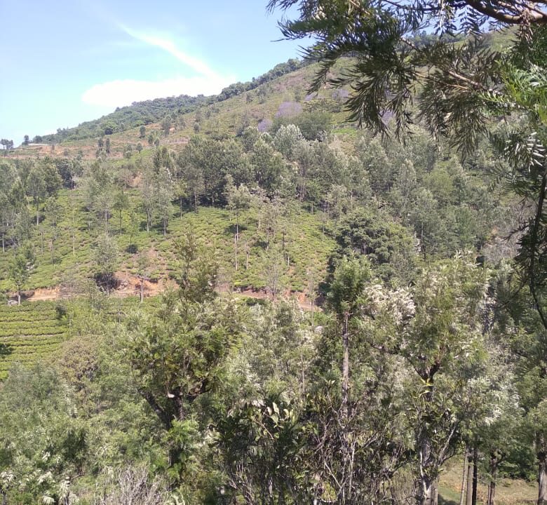 WhatsApp Image 2025-06-22 at 4.04.58 PM