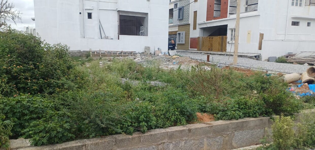 WhatsApp Image 2025-06-24 at 5.20.42 PM (1)