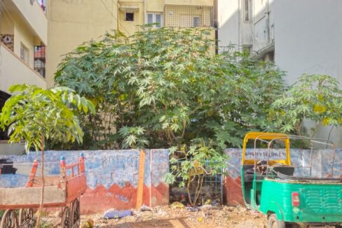 WhatsApp Image 2025-06-26 at 12.47.06 PM (1)