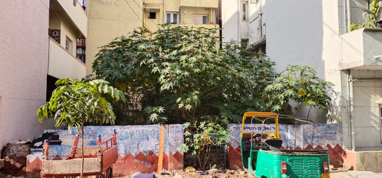 WhatsApp Image 2025-06-26 at 12.47.06 PM (2)