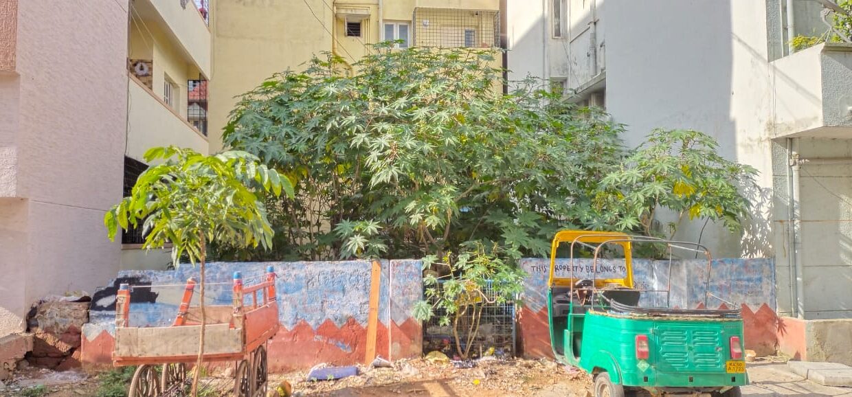 WhatsApp Image 2025-06-26 at 12.47.06 PM (3)