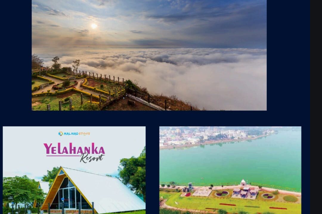 WhatsApp Image 2025-06-26 at 12.55.04 PM (1)