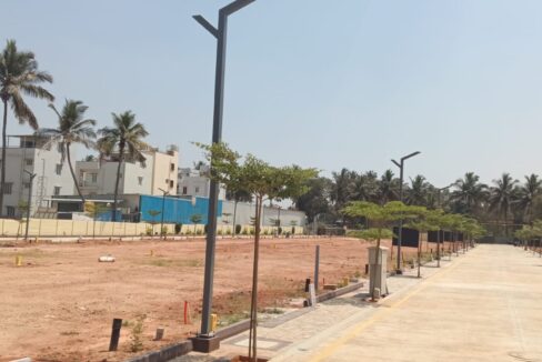 WhatsApp Image 2025-06-27 at 7.02.17 PM