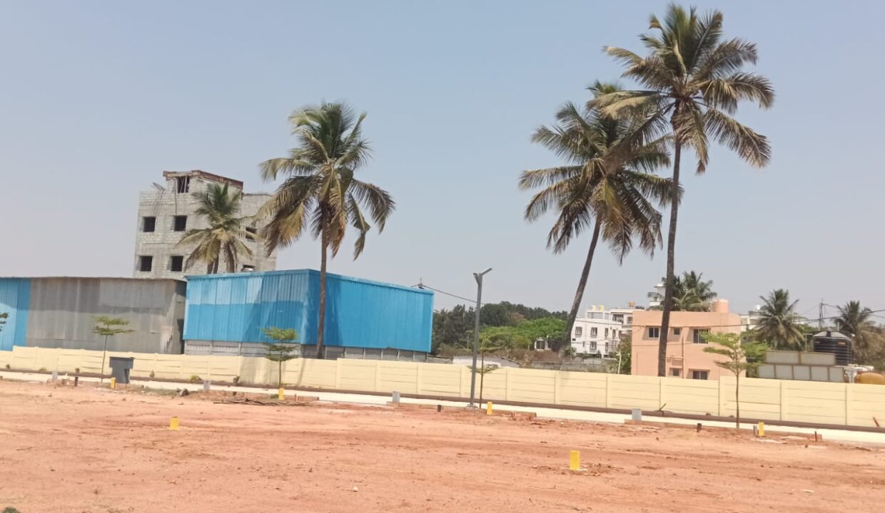 WhatsApp Image 2025-06-27 at 7.02.18 PM (1)