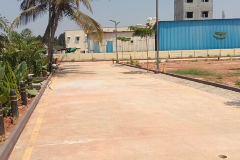 WhatsApp Image 2025-06-27 at 7.02.18 PM