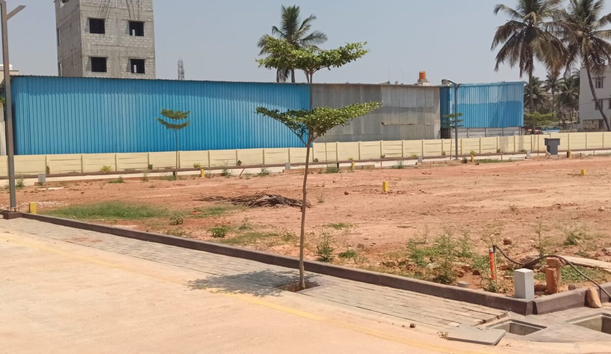 WhatsApp Image 2025-06-27 at 7.02.20 PM (1)