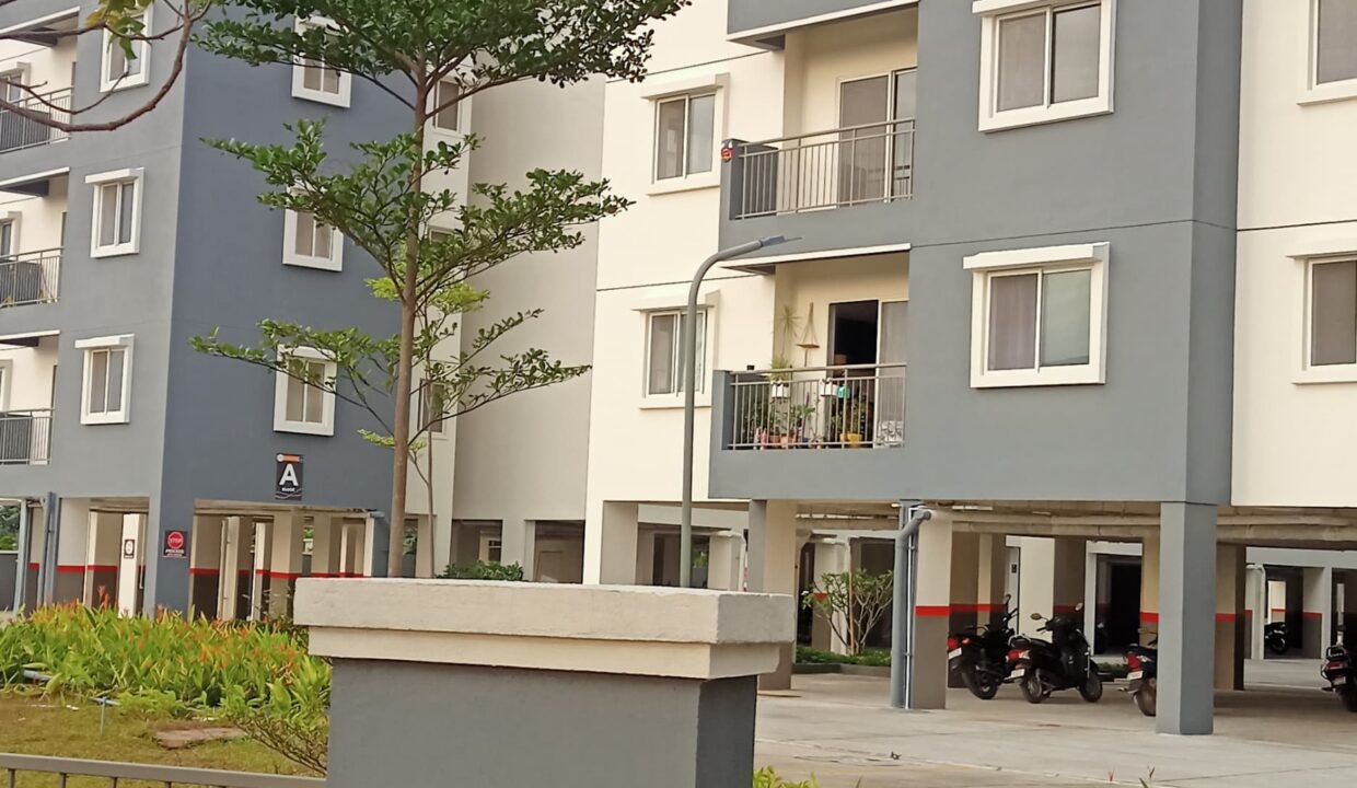 WhatsApp Image 2025-06-27 at 8.47.28 PM