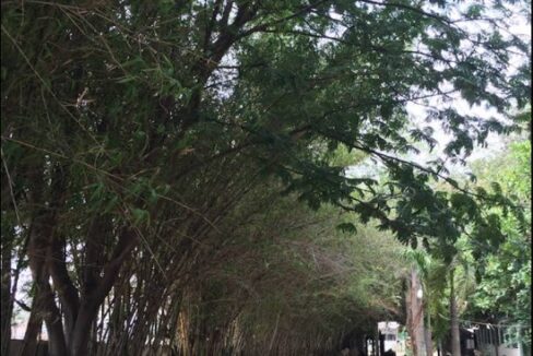 WhatsApp Image 2025-06-29 at 10.50.51 AM