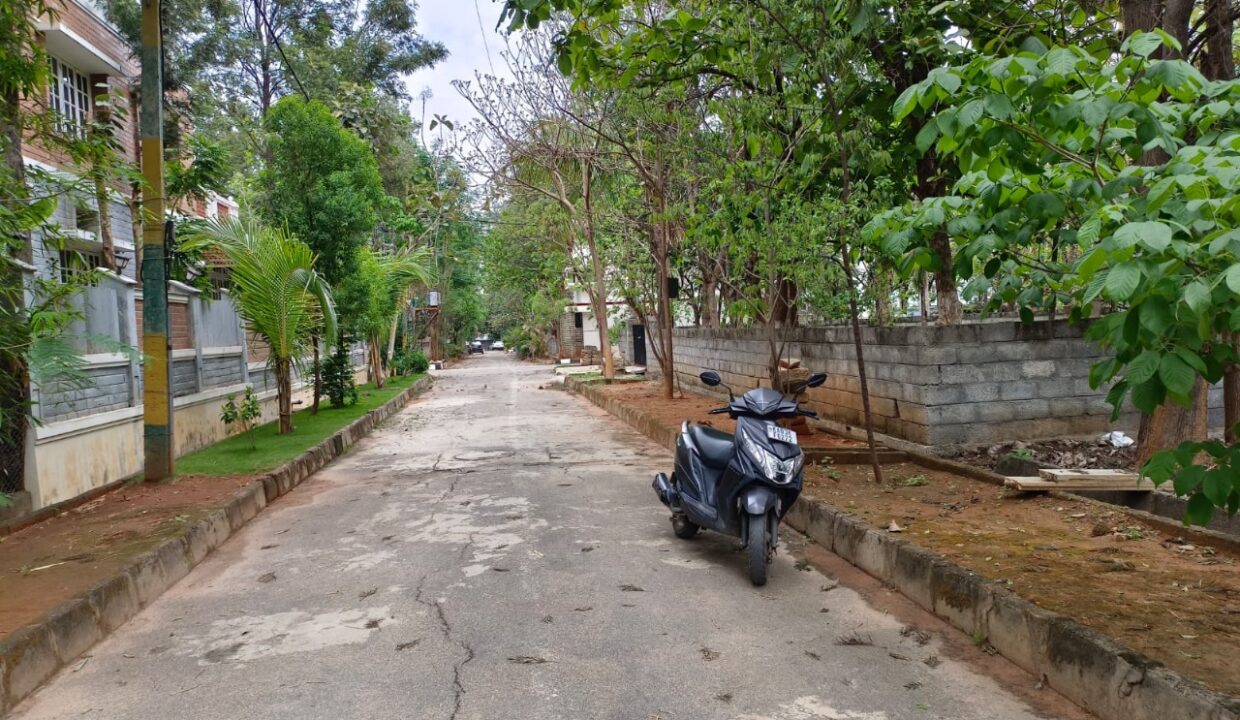 WhatsApp Image 2025-06-29 at 10.50.53 AM