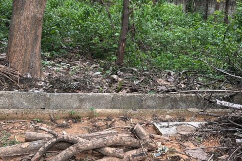 WhatsApp Image 2025-06-29 at 10.50.55 AM