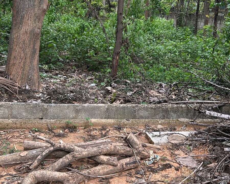 WhatsApp Image 2025-06-29 at 10.50.55 AM