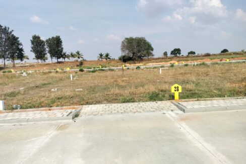 WhatsApp Image 2025-07-02 at 9.53.59 AM