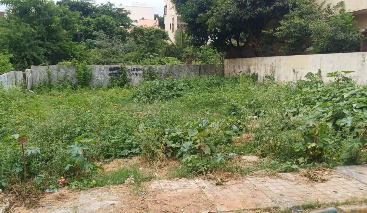 WhatsApp Image 2025-07-08 at 2.32.19 PM (1)