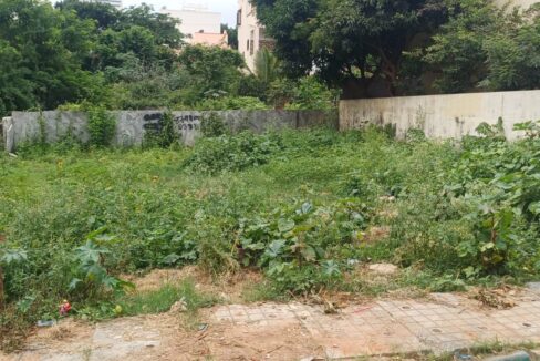 WhatsApp Image 2025-07-08 at 2.32.19 PM (1)