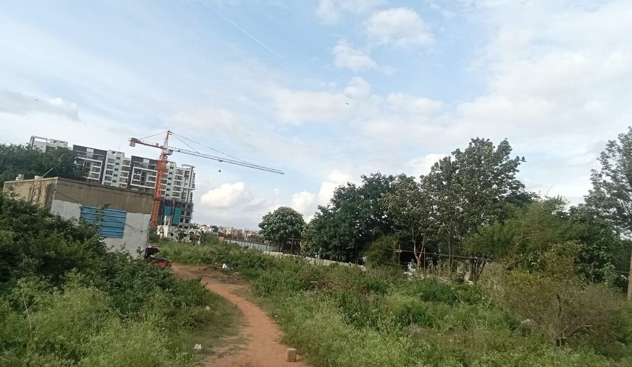 WhatsApp Image 2025-07-22 at 1.47.48 PM (1)