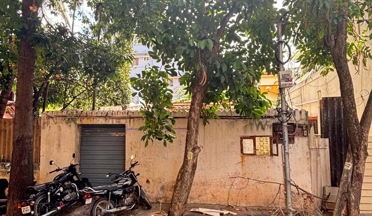 WhatsApp Image 2025-07-22 at 10.07.41 AM