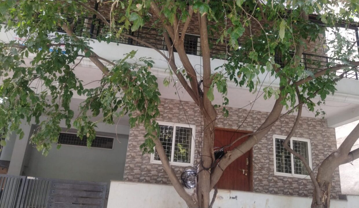 WhatsApp Image 2025-07-23 at 12.35.51 PM