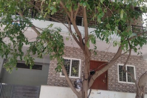 WhatsApp Image 2025-07-23 at 12.35.51 PM