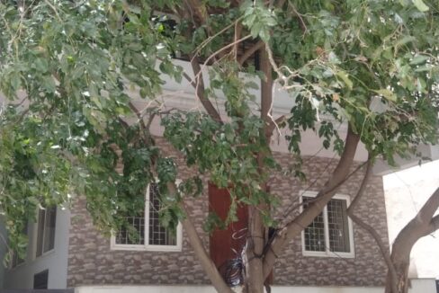 WhatsApp Image 2025-07-23 at 12.36.04 PM