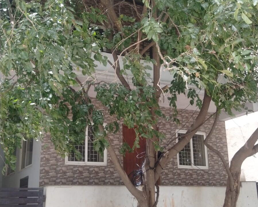 WhatsApp Image 2025-07-23 at 12.36.04 PM