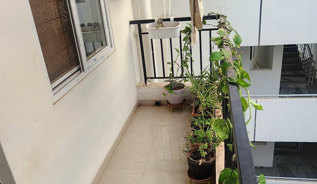 WhatsApp Image 2025-07-23 at 3.16.18 PM