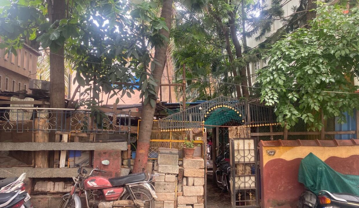 WhatsApp Image 2025-07-26 at 2.47.51 PM (3)