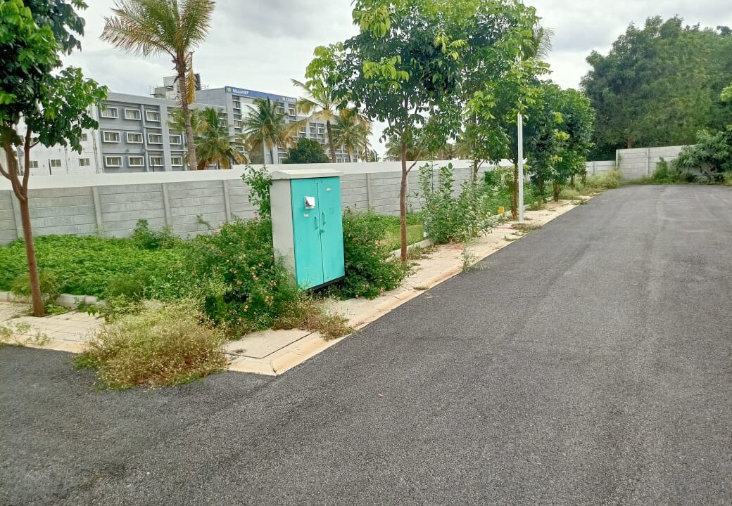 WhatsApp Image 2025-07-30 at 1.15.40 PM (1)