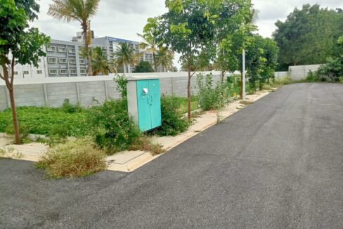 WhatsApp Image 2025-07-30 at 1.15.40 PM (1)