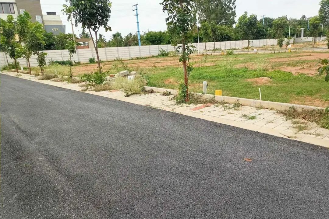 WhatsApp Image 2025-07-30 at 1.15.40 PM