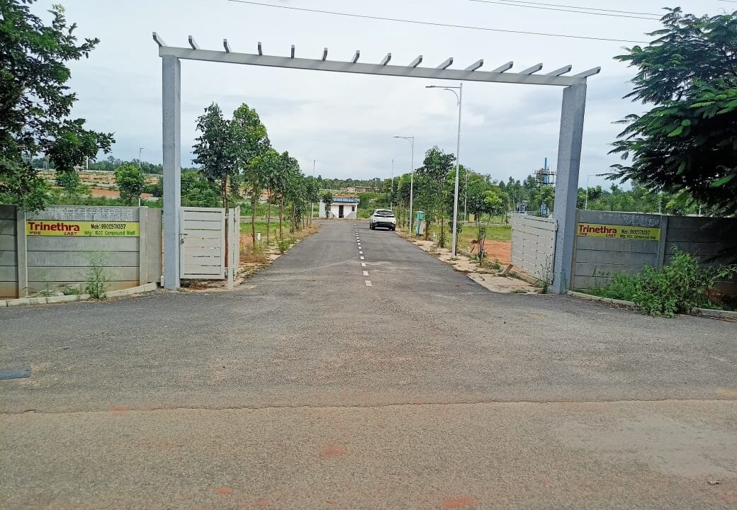 WhatsApp Image 2025-07-30 at 1.15.40 PM (2)