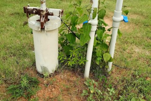 WhatsApp Image 2025-07-30 at 1.15.41 PM